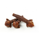 clove bud essential oil