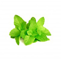 Spearmint Essential Oil (India)